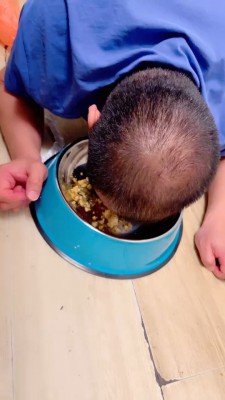 【安可S】圈养生活第四天-户外餐厅脚下喂食【双视角版】 bf27050